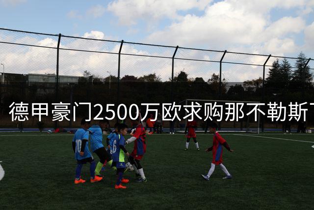 德甲豪门2500万欧求购那不勒斯飞翼 双方报价差距达500万